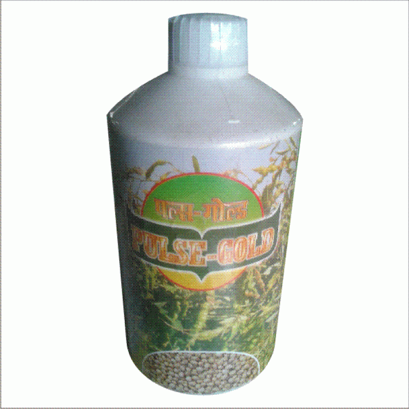 Pulse Gold-800×800