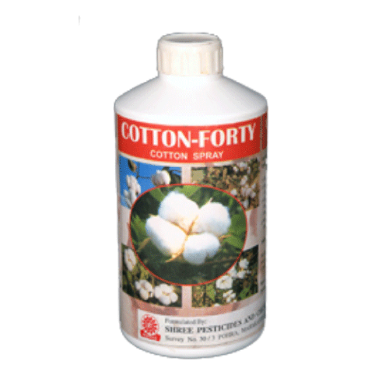 cotton-40-800×800